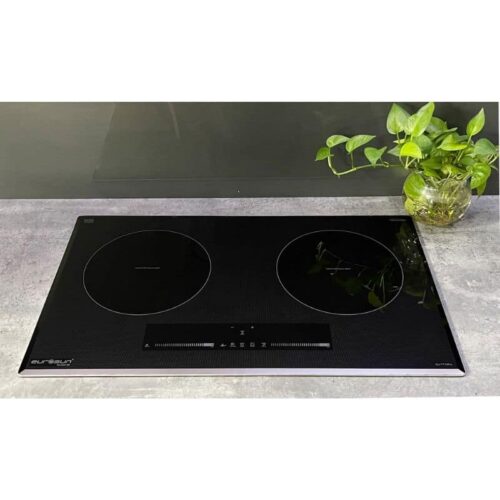 Ảnh thực tế bếp từ 2 vùng nấu Eurosun EU-T710 PRO Silver